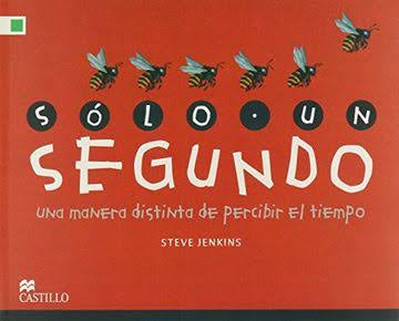 SOLO UN SEGUNDO