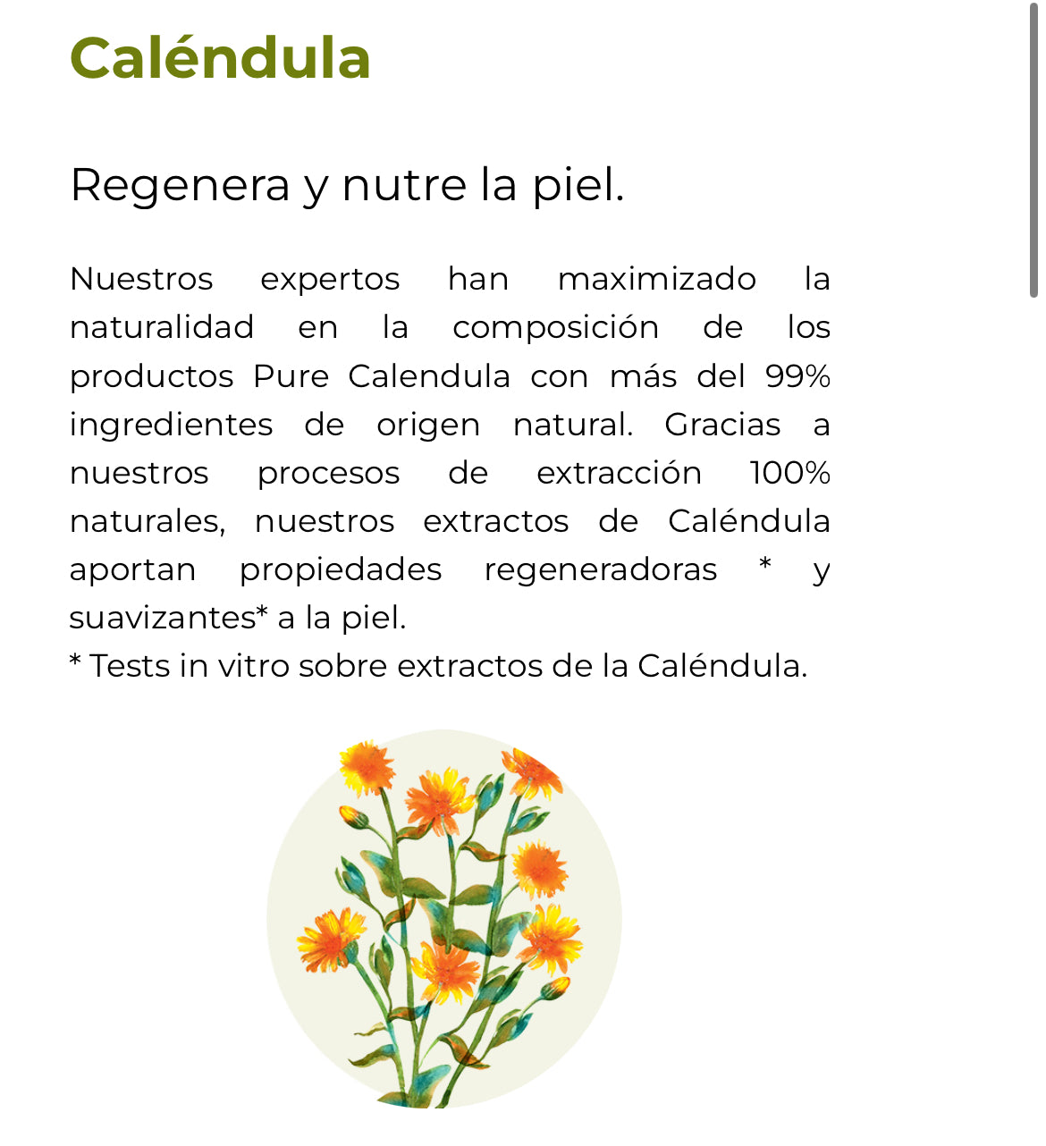 Crema Caléndula Anti Arrugas día y noche